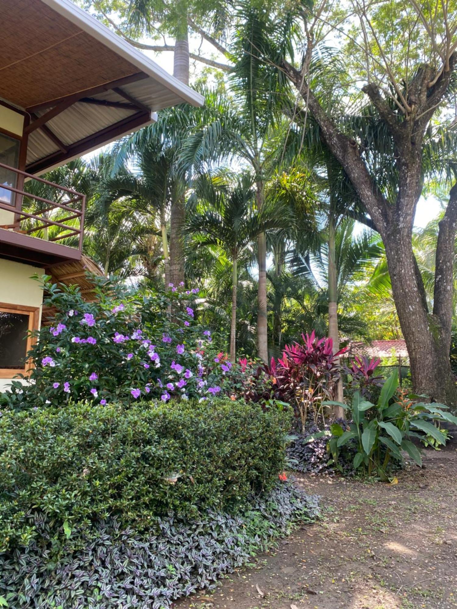Jazlyn Lodge & Tours Paquera Eksteriør bilde